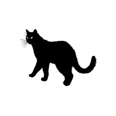 Obraz premium Black silhouette of a walking cat on white background.