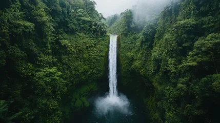 Fototapete Wasserfall A stunning waterfall cascades through lush greenery, surrounded by dense vegetation and mist, creating a serene and picturesque natural scene.  © 1389