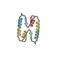 Illustration of a complex protein structure, showing colored helix and sheet formations.