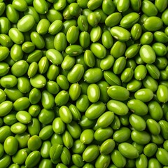 Close-up of many green beans
