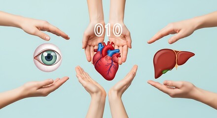 A conceptual collage on the theme of organ donation and transplantation, showcasing hands offering a heart, liver, and eye as a gift of life