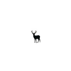 Fototapeta premium Silhouette of a deer over water, mirror reflection, dark forest.