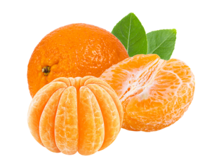 mandarin orange still life isolated on white background.