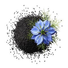 Black cumin seeds with nigella sativa flower isolated on transparent background.