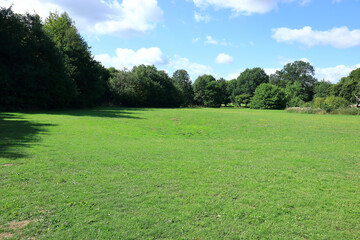 Green field and a woodland landscape in Camer Park