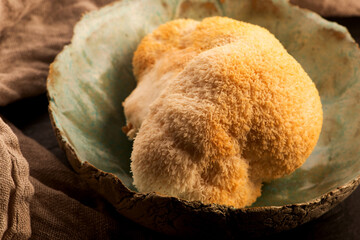 Hericium erinaceus mushroom monkey head mushroom, bearded tooth fungus, bearded hedgehog mushroom, pom pom, lion`s mane mushroom. Far Eastern medicine use this mushroom