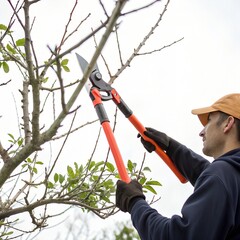 Tree Pruner