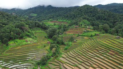 Aerial landscape view of rice terrace and mountain views