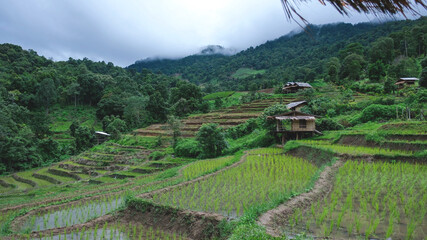 Rice terraces and wooden hut on cloudy day