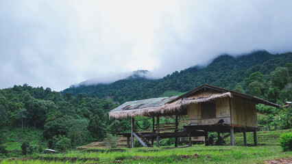 Wooden hut in greenery rice terraces on cloudy day