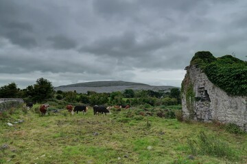 survol du plateau des Burren en Irlande