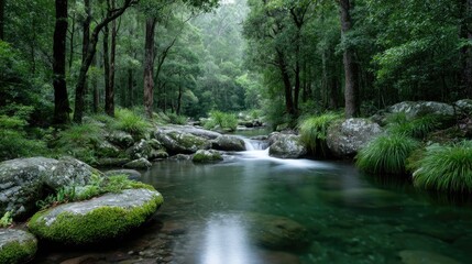 Tranquil Jungle River Scene With Lush Greenery And Flowing Water