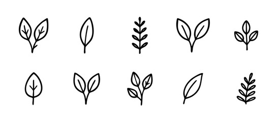 Hand drawn botanical leaves vector illustration set, minimalist leaf drawing for logo and nature design element