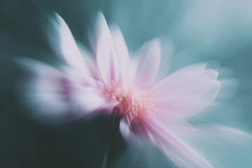 Dream abstract motion blurry vibrant flower posters,summer blossom flower iridescent background