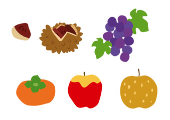 ラフでシンプル可愛い秋の果物セット