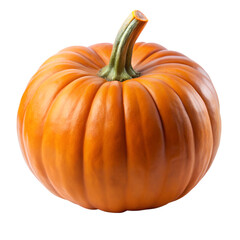 Vibrant Orange Pumpkin Isolated for Autumnal Designs on transparent background vibrant orange