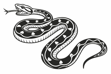 Obraz premium Illustration of a snake isolated on white background, vector drawing