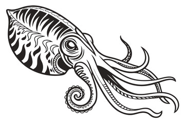 Cuttlefish in black and white isolated on white background