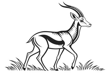 Fototapeta premium Elegant gazelle standing in the grass isolated on white background