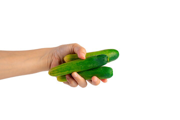 Fresh green cucumber in hand on transparent background