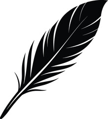 Obraz premium white feather on the white background.eps