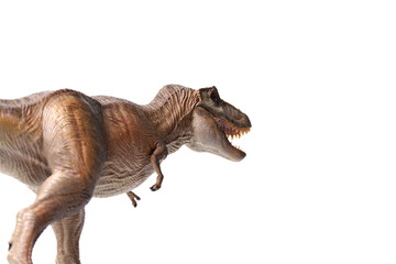Back view tyrannosaurus rex or Trex dinosaurs toy brown.  © Suttiwat