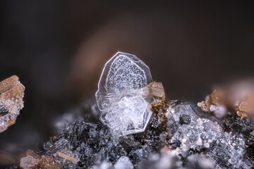 White tabular Tridymite crystal. Specimen from Nickenicher sattel, Pellenz, Germany. Micro...