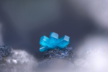 Blue langite crystals. Specimen from Clara mine, oberwolfach, Germany. Micro photography extreme close-up. microscope mineral crystal photography for Scientific use. 