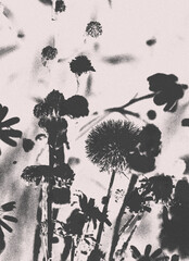 Floral Print Texture