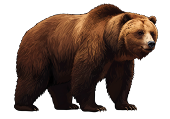 Majestic Brown Bear A Powerful Presence Against a Black Background on transparent background