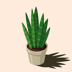 Isometric potted plant. Indoor plant. Green plant in pot. 3d potted plant for home interior decoration. Interior decoration element