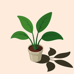Isometric potted plant. Indoor plant. Green plant in pot. 3d potted plant for home interior decoration. Interior decoration element