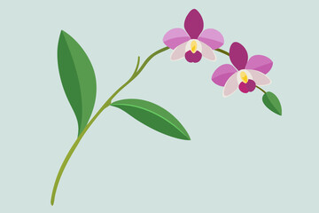 Wild Orchid Branch Isolated with Greenery Bundle