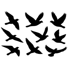 Fototapeta premium birds flying set of 9 birds
