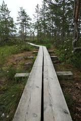Wooden boardwalk in the forest - hiking in Northern Europe