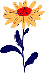 orange calendula flower isolated on white. Calendula flowers isolated on a white background Watercolor flower hand drawn herb illustration. Stylized chrysanthemum flower bud