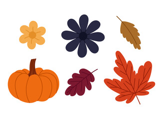 Collection of autumn themed vector elements. Pumpkin, colorful leaves and flowers for seasonal decorations, cards and other designs.