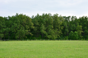 Green field with a dense forest in the background under a cloudy sky