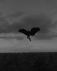 Digital illustration in black and white of the Mothman cryptid flying over a forest