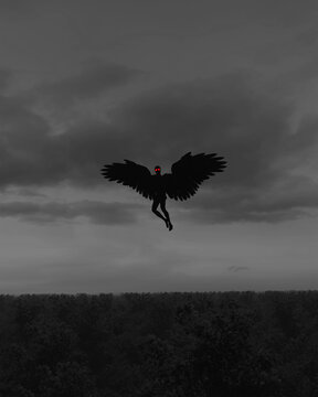 Digital illustration in black and white of the Mothman cryptid flying over a forest