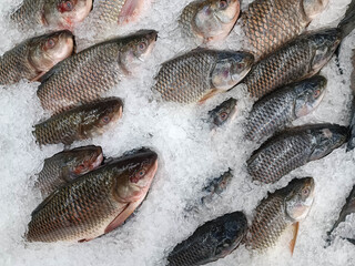 Nile tilapia on ice ready for sale