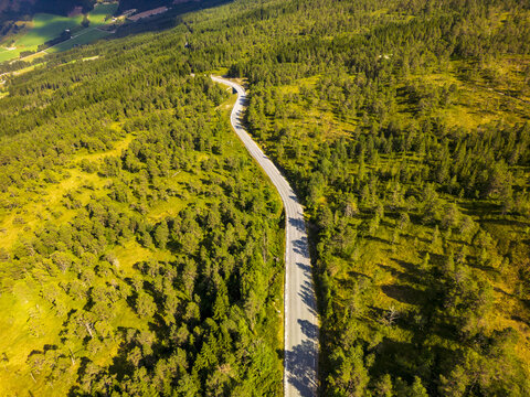 Aerial view of a winding road cutting through a dense forest, a ribbon of gray against a sea of vibrant green, Utvik, Vestland, Norway.