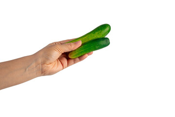 Fresh green cucumber in hand on transparent background