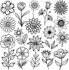 Floral Line Art: Black and White Flower Collection, Botanical Illustration, Vector Graphics