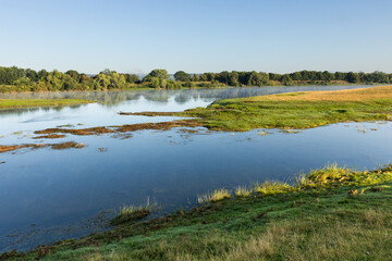 Beautiful summer landscape with green nature in the Republic of Moldova, Rural tourism in Eastern Europe. Natural park in Moldova.