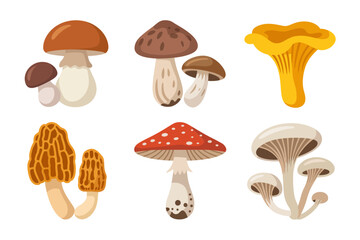 Whimsical toadstool icons, fly agaric cartoon mushroom, forest fairy tale vector, kids book illustration, playful clipart pack