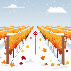 Cartoon simple vineyard background in harvest season
2