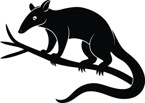 Black Silhouette of a Bandicoot on a Branch Vector Illustration Wildlife Art