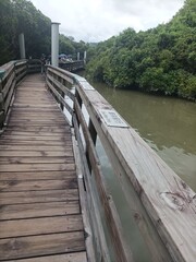 Obraz premium wooden bridge over the river