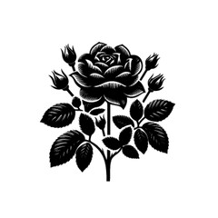 Colorful Blooming Flower Vector Design